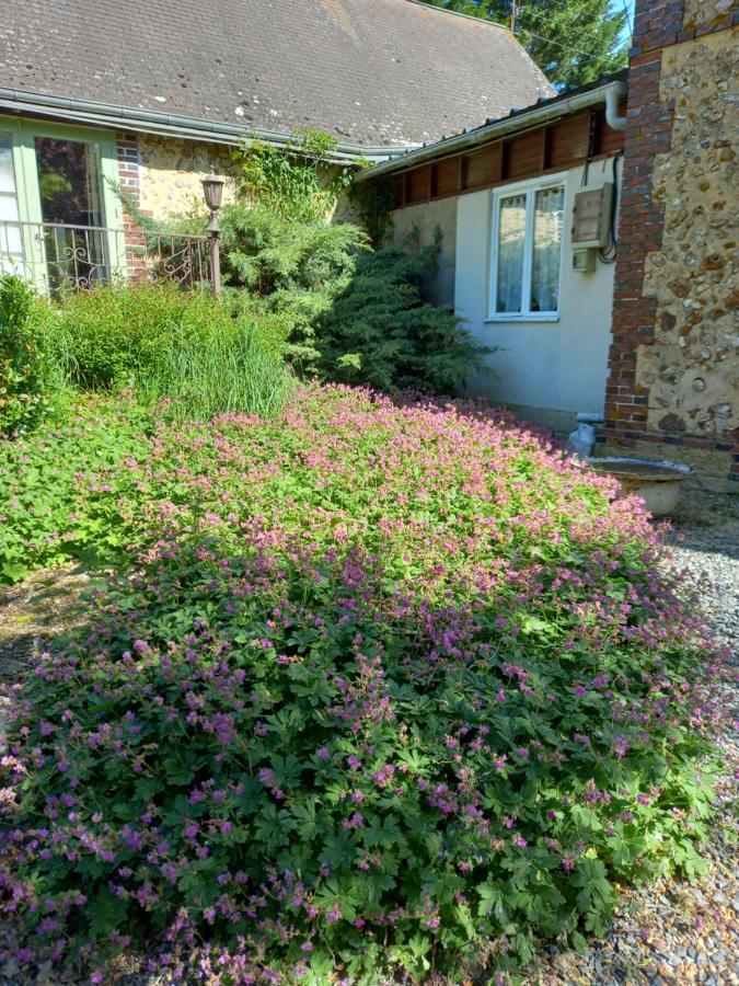 Chez Noelle Illiers-Combray Exterior photo